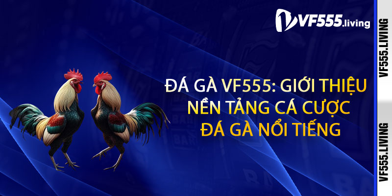 Đá Gà Vf555: Giới thiệu nền tảng cá cược đá gà nổi tiếng