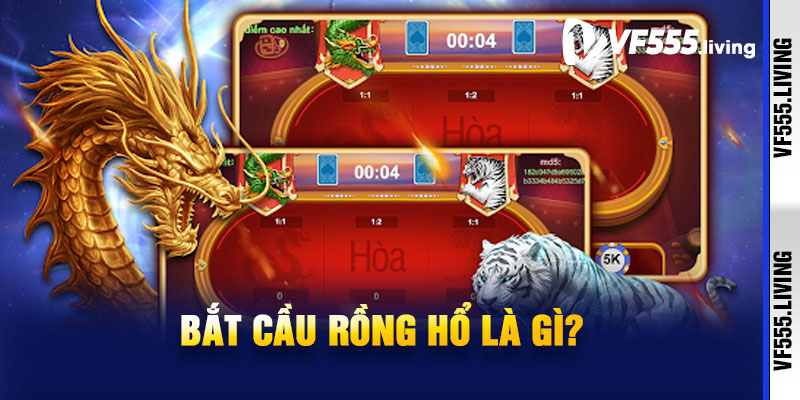 Bắt cầu Rồng Hổ là gì?