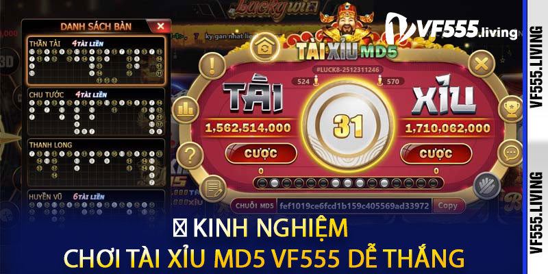 💡 Kinh Nghiệm Chơi Tài Xỉu MD5 VF555 Dễ Thắng