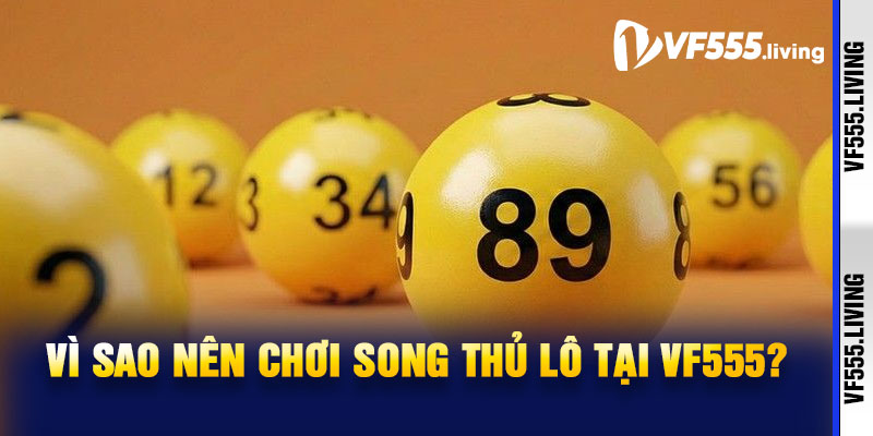 Vì sao nên chơi song thủ lô tại VF555?